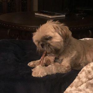 Meet your Posher, Elizabeth